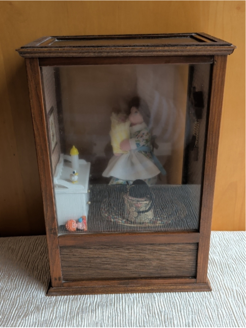 Shadow Wooden Glass Box Case Miniature Interior Collectible